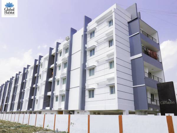 Elevation carnation Elevation