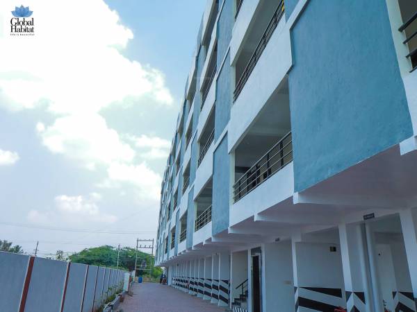 Elevation carnation Elevation