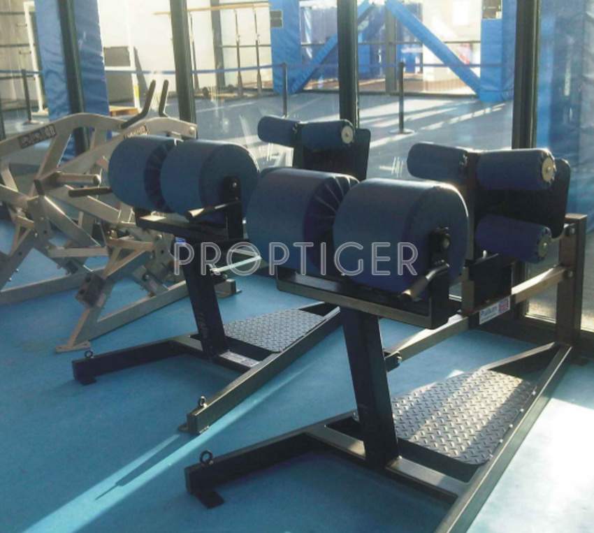 Images for Amenities of Global Carnation