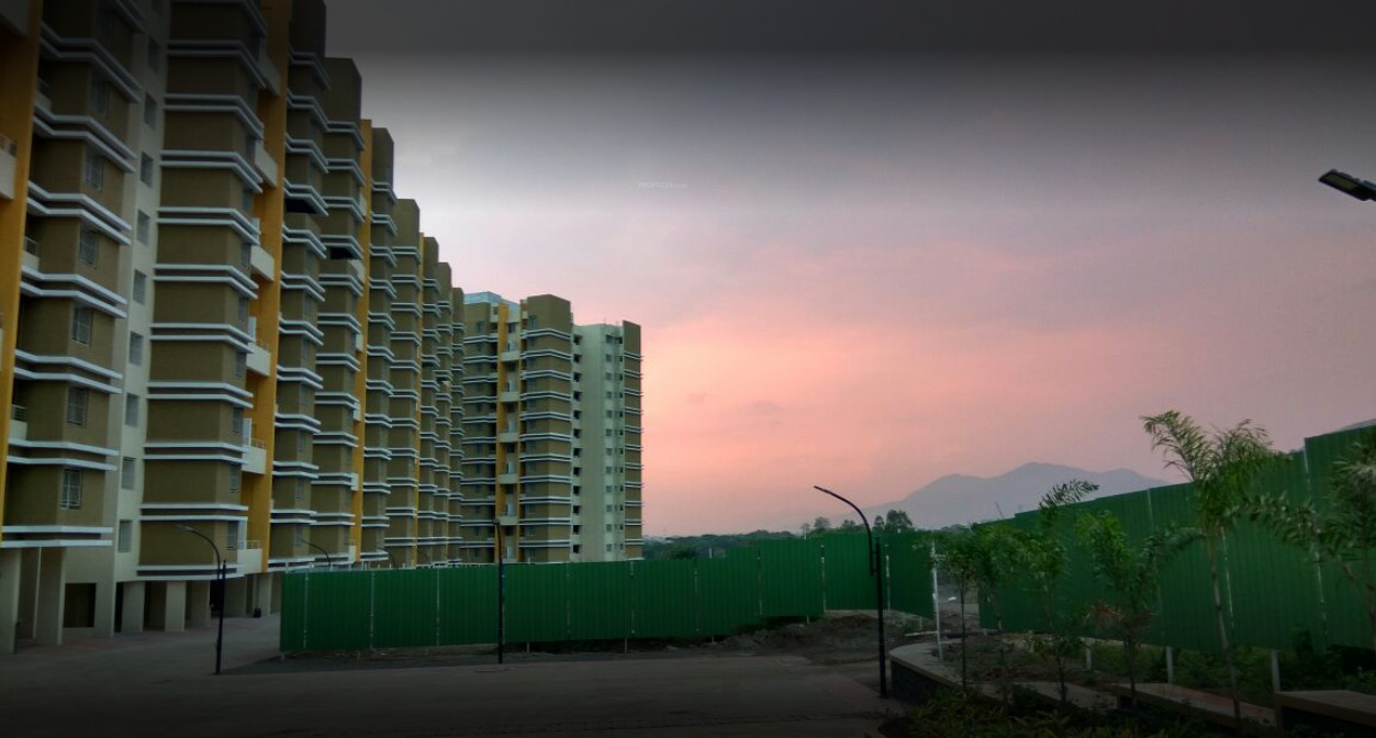  daffodils avenue Elevation