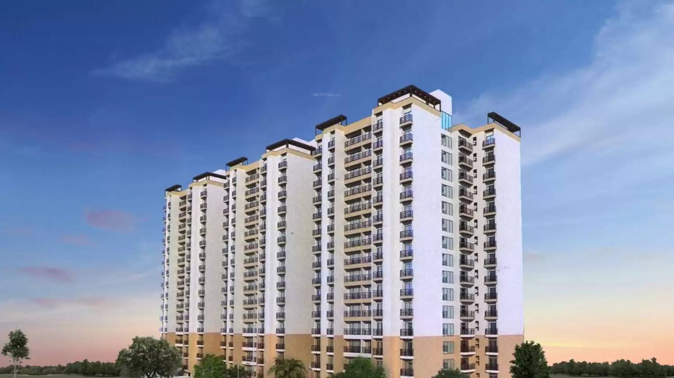 Elevation celebrity woods Elevation