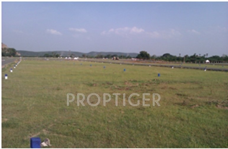  cynosure extension Project Image