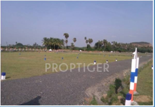  cynosure-extension Project Image