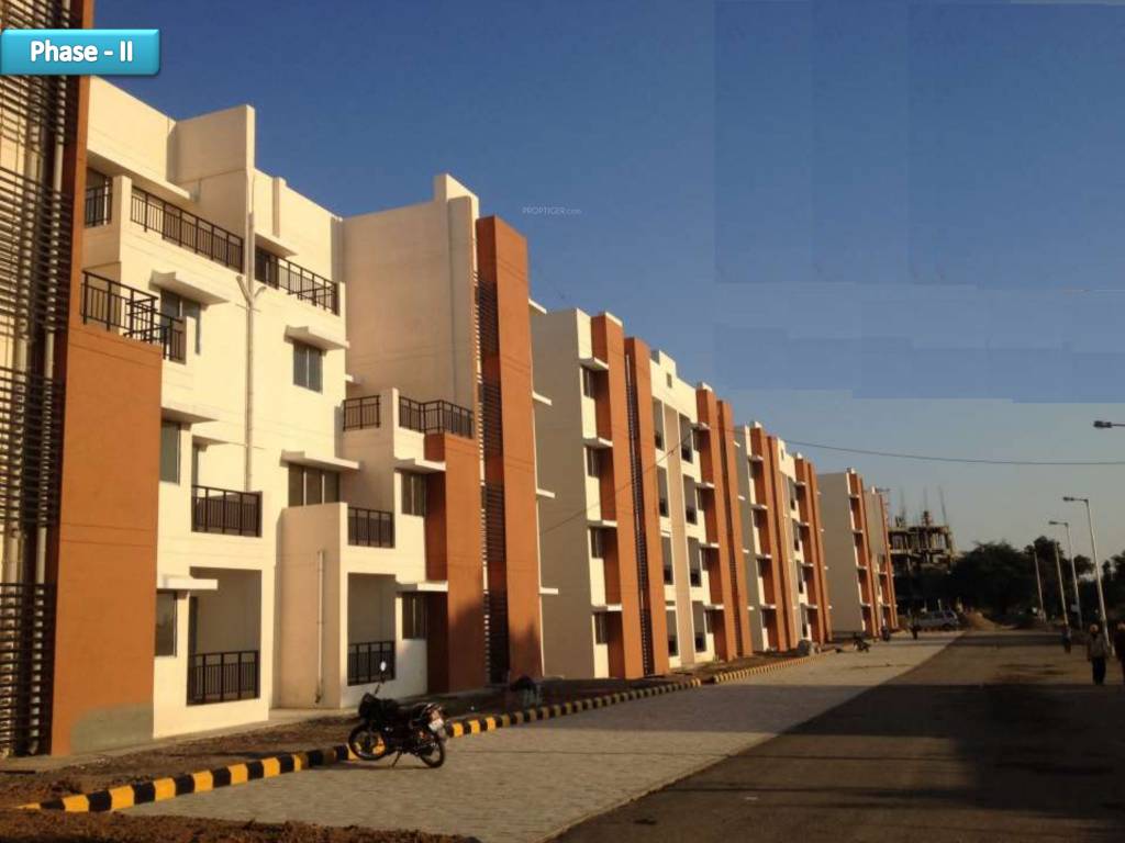 Images for Elevation of Fire Carnation Mids