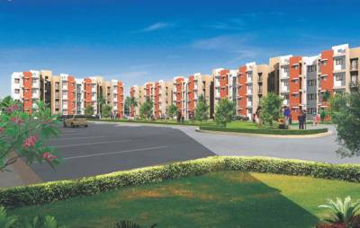 Images for Elevation of Fire Carnation Mids Images for Elevation of Fire Carnation Mids