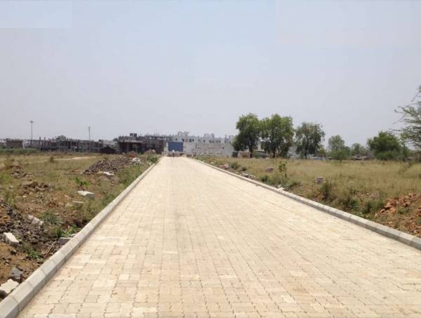 Images for Amenities of Fire Carnation Mids Images for Amenities of Fire Carnation Mids