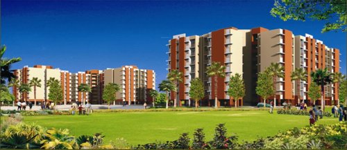 Images for Elevation of Fire Daffodil Highs daffodil-highs Images for Elevation of Fire Daffodil Highs