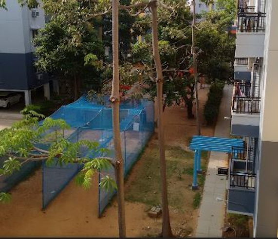 sudarsana Cricket Pitch