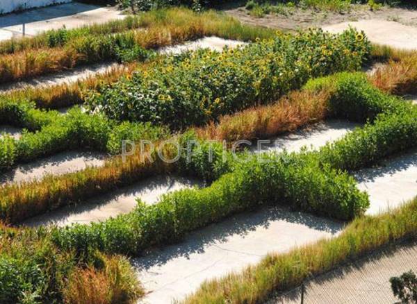 Images for Main Other of Airwil Aurum