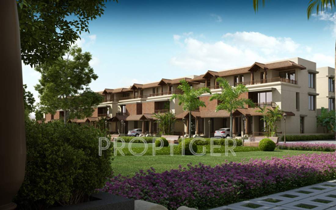  vicenza vanakkam Images for Elevation of Pawan Vicenza Vanakkam