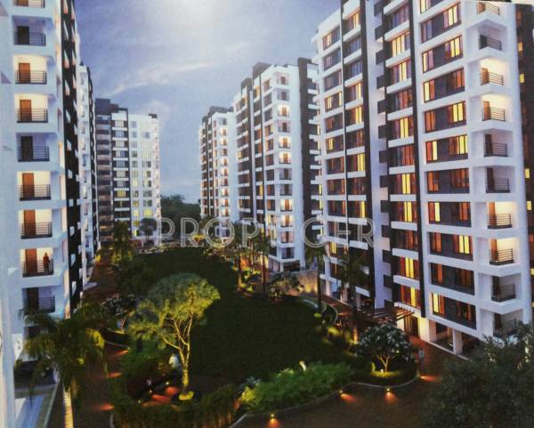  maxima Images for Elevation of Silver Maxima