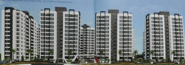  maxima Images for Elevation of Silver Maxima