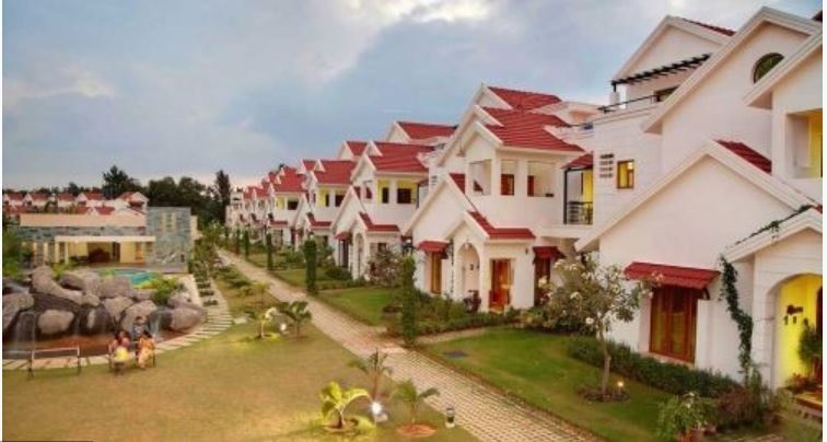 springdale Elevation