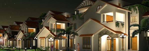  springdale Project Image