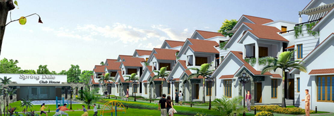 springdale Project Image