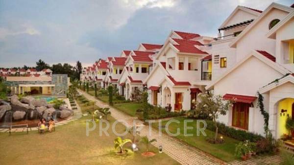  springdale-ii Project Image