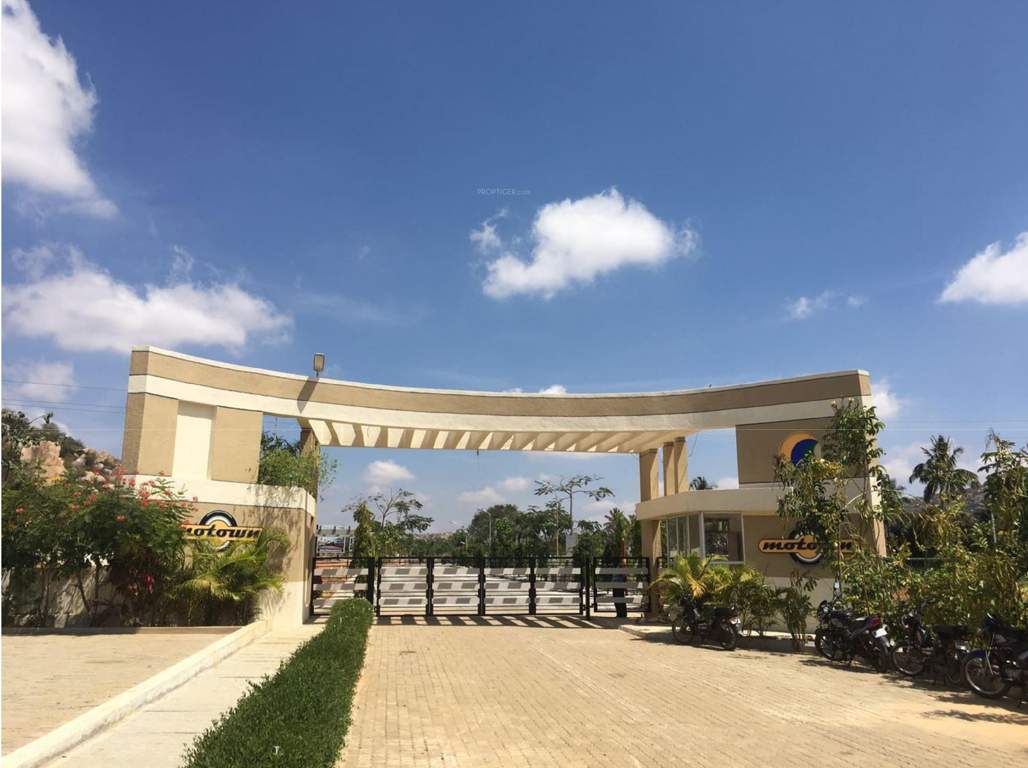 motown Images for Amenities of Citrus Motown