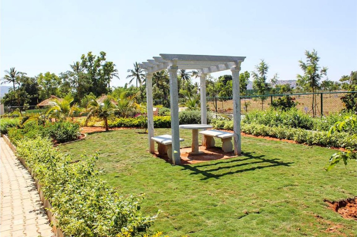 Images for Amenities of Citrus Motown