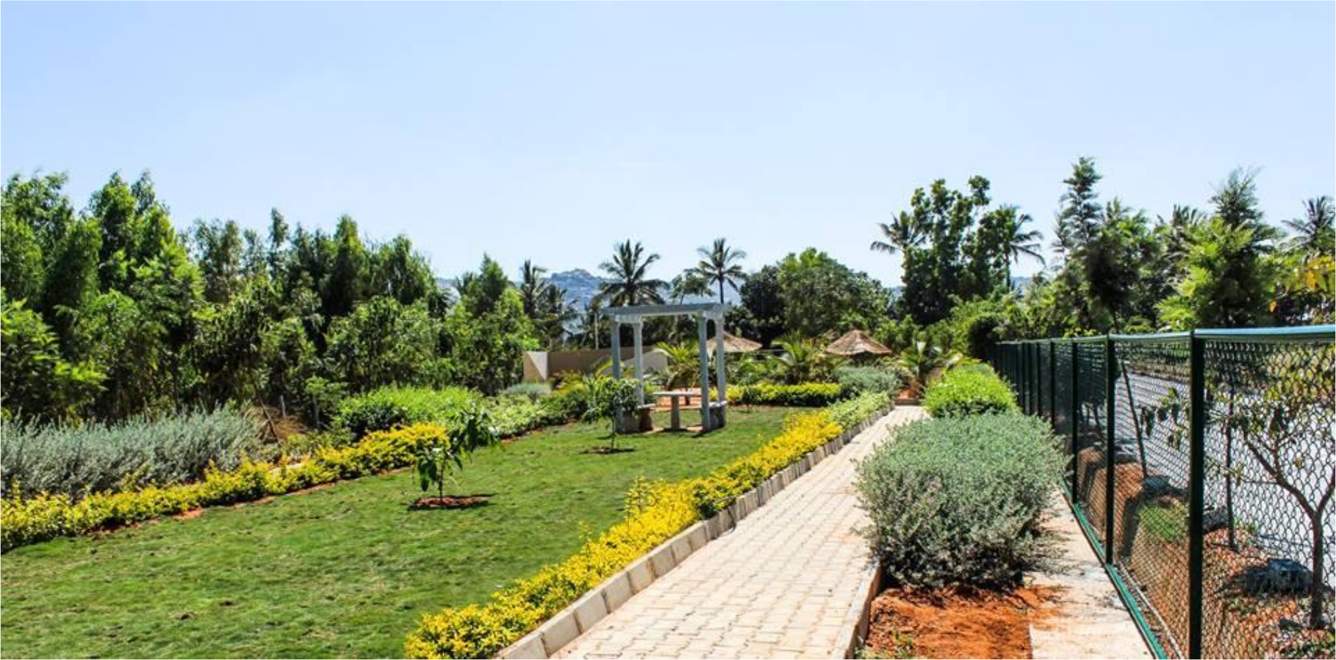 Images for Amenities of Citrus Motown