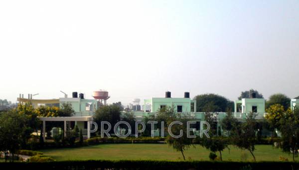 Project Image paradise Project Image