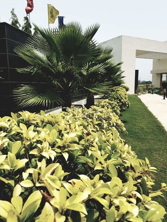  lucknow greens villa Others