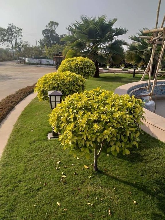  lucknow greens villa Others