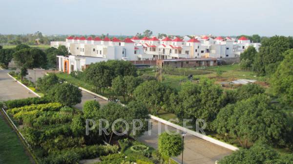  dwarkadham Images for Elevation of Dwarkadheesh Dwarkadham