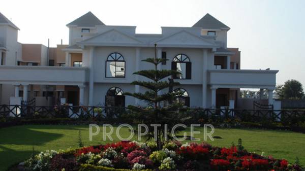  dwarkadham Images for Elevation of Dwarkadheesh Dwarkadham