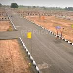 sree-sarabeswaraa-land-foundation crystal-estate Project Image