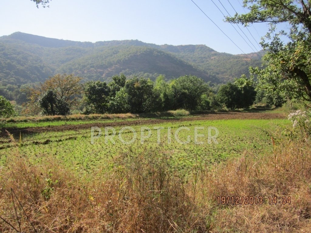 Images for Main Other of Veracity Lake Avenue