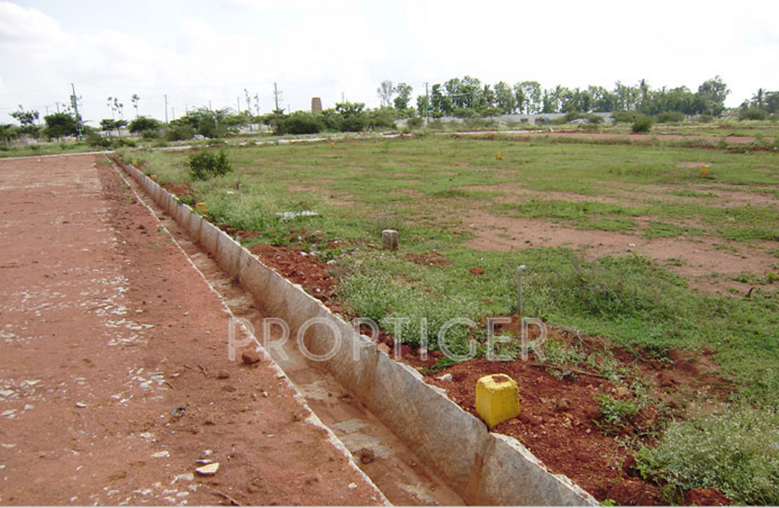 Images for Elevation of Mountain Jasmine