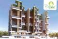 Satish Bora Crystal Heights