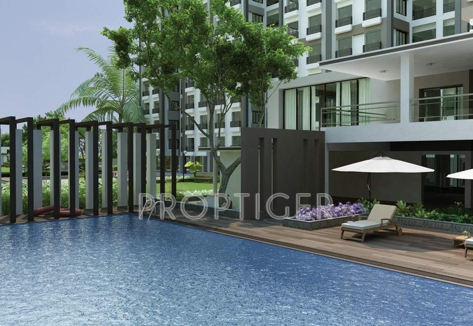 Images for Elevation of Sairang Heights