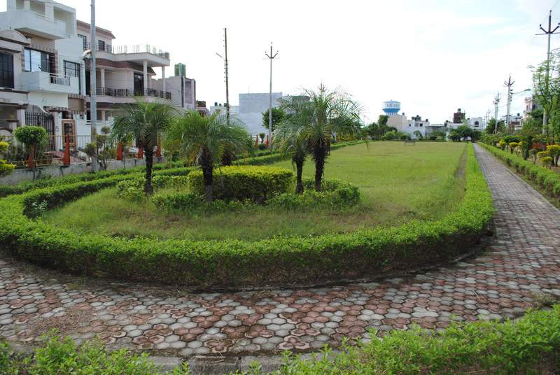 tdi city Landscape Garden and Tree Planting