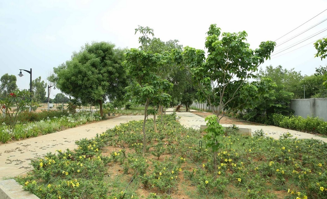 Century Sports Village