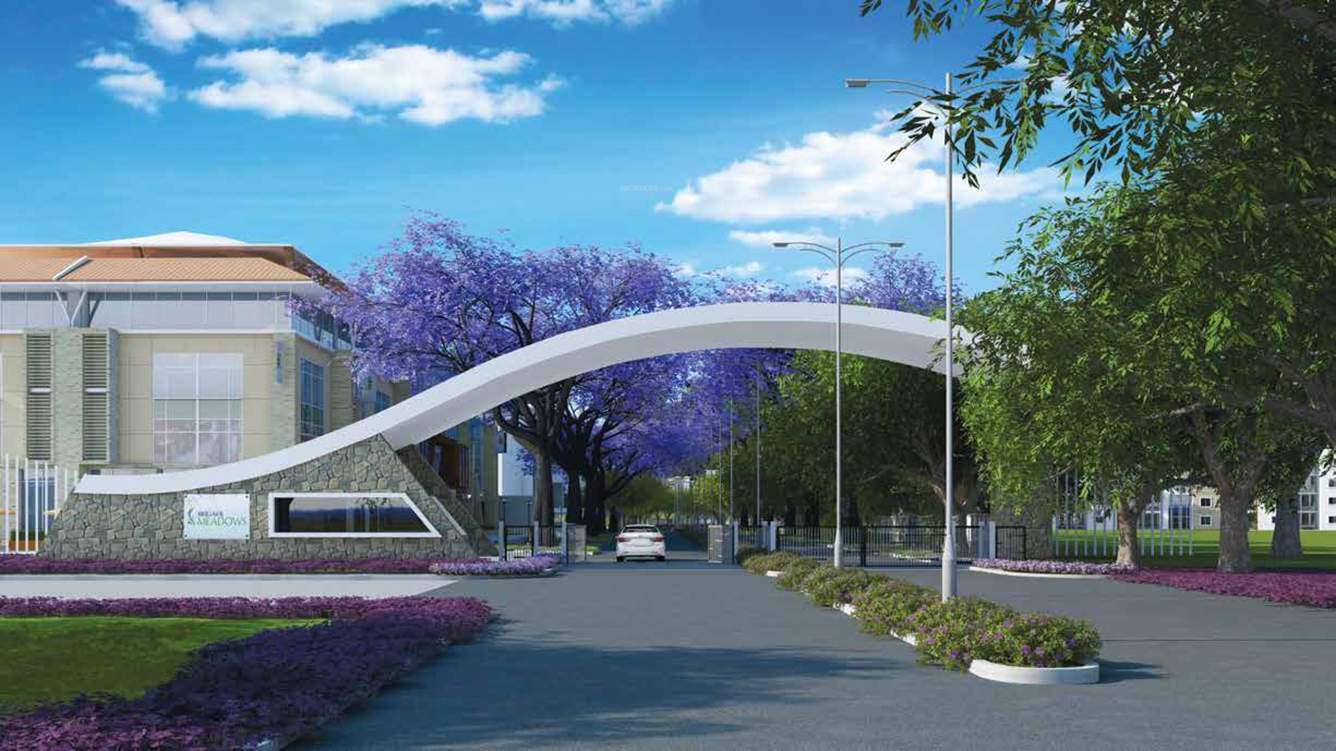 Images for Amenities of Brigade Wisteria At Meadows