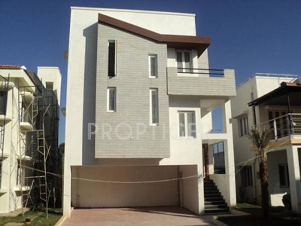 Images for Elevation of Confident Bellatrix Phase II