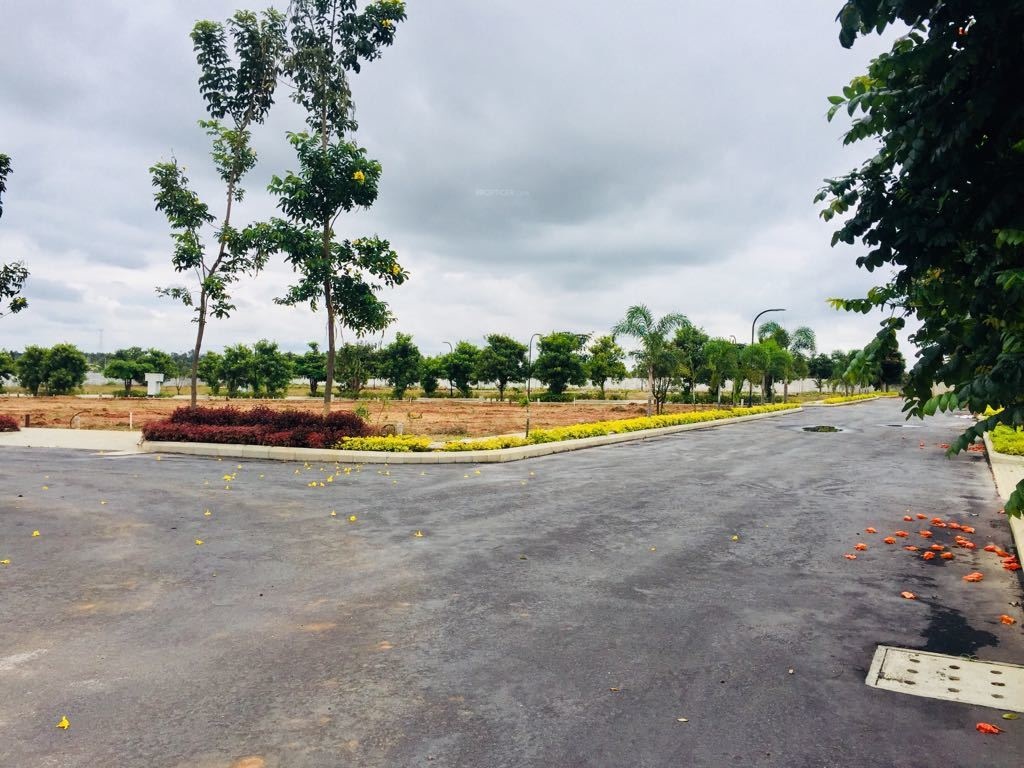 Images for mainOther