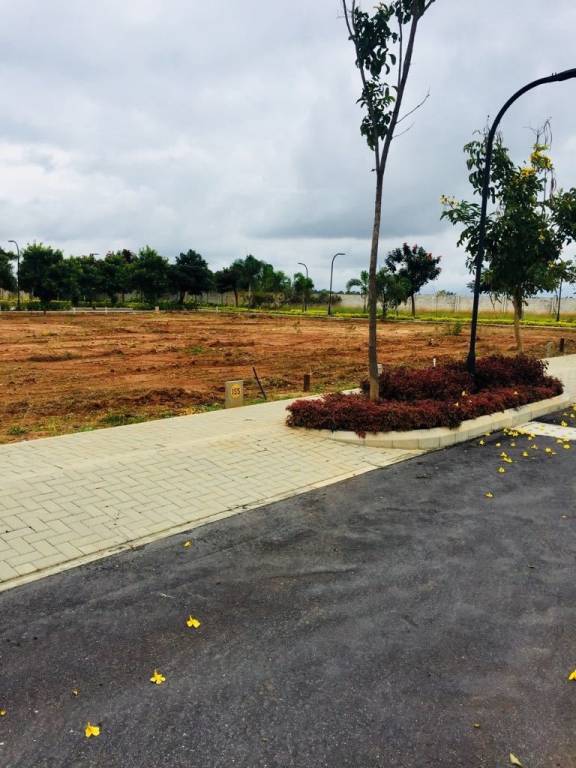 Images for mainOther