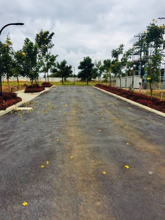 Images for mainOther