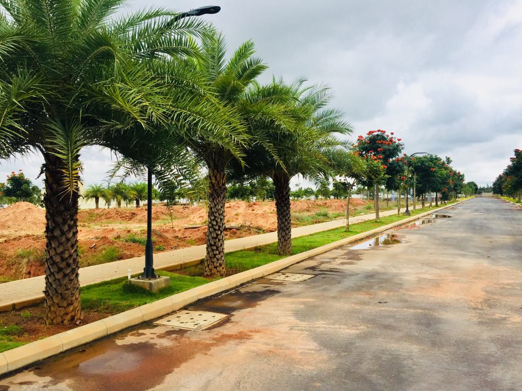 Images for mainOther