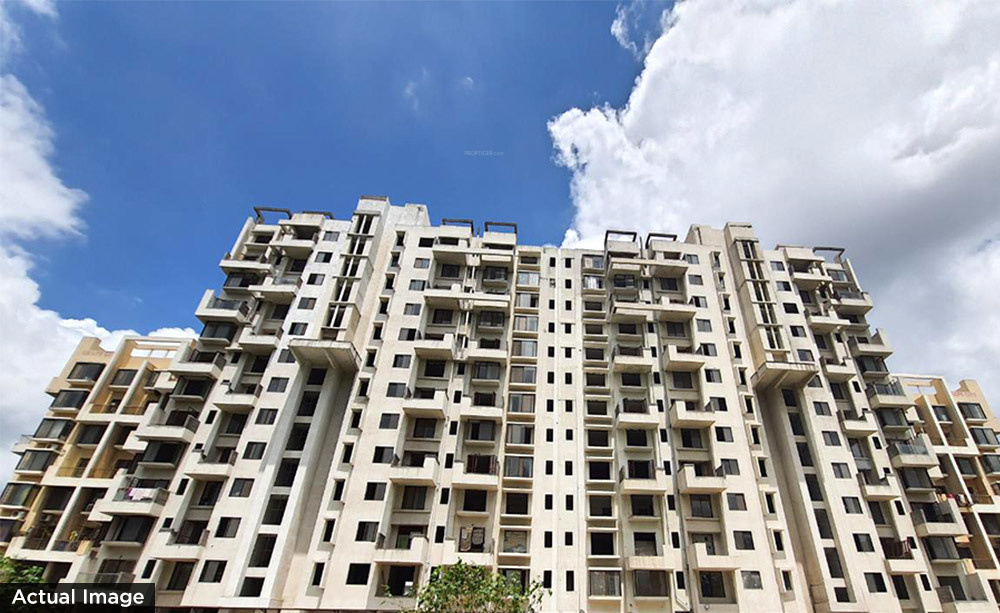  grape city Elevation