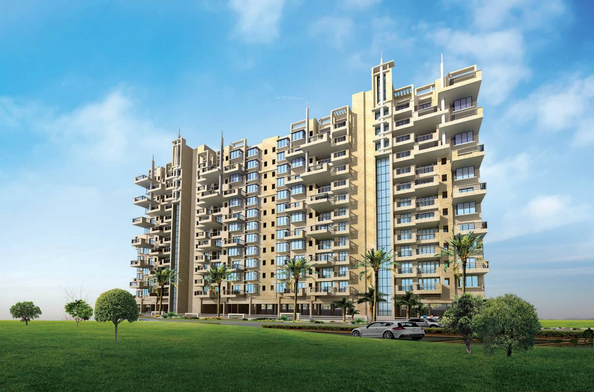  grape city Elevation