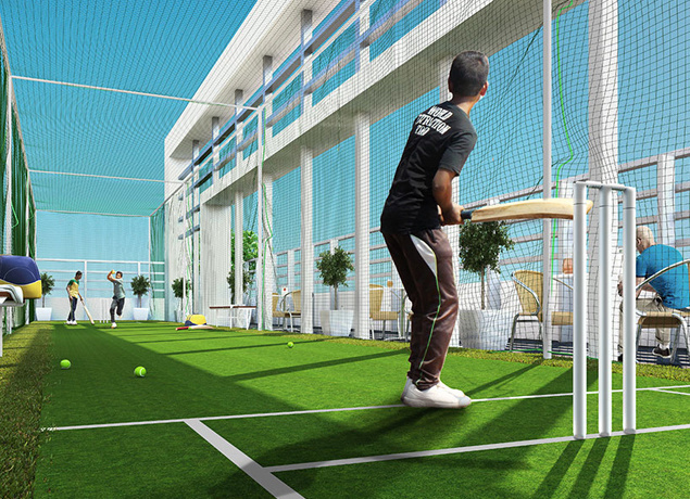  grape city Cricket Pitch