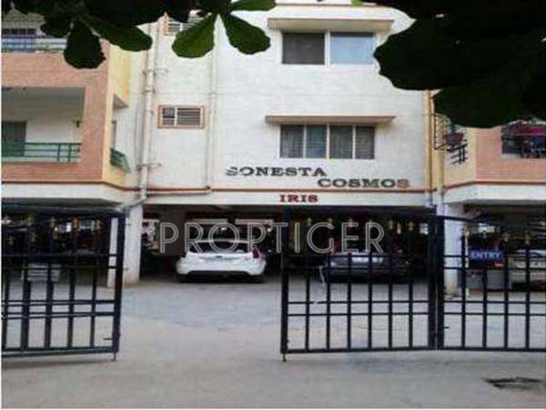 Images for Elevation of AR Sonesta Cosmos