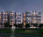 Images for Elevation of  Neon Images for Elevation of  Neon