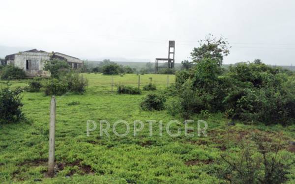 Images for Elevation of Green Earth Backwaters Green Earth