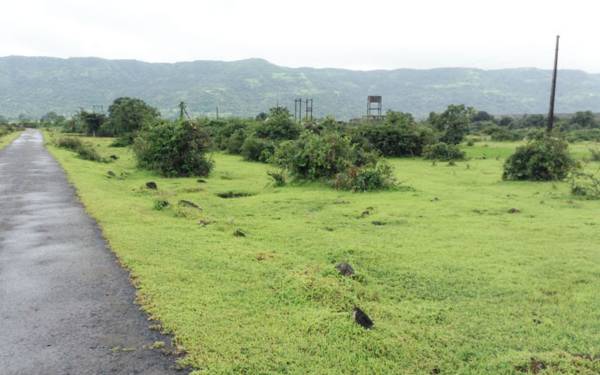 Images for Main Other of Green Earth Backwaters Green Earth