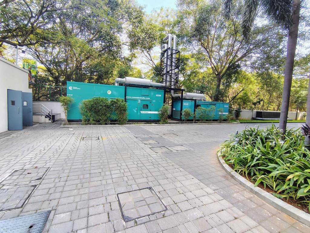  the atlantic DG Availability