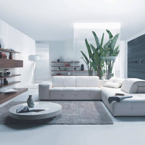 Images for Main Other of Bagad Blue Bells